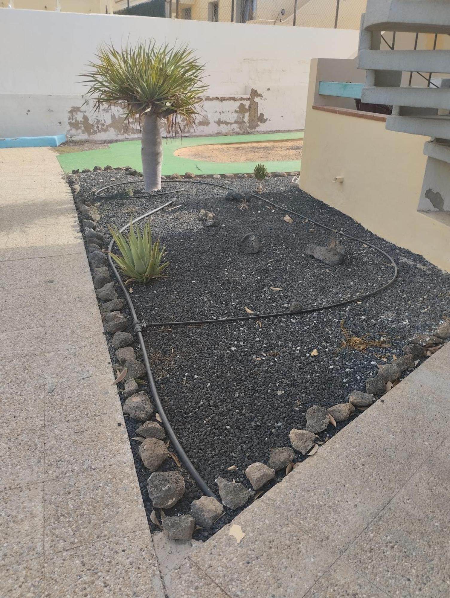 Apartamento Costa De Antigua Cerca De Caleta De Fuste Exteriör bild